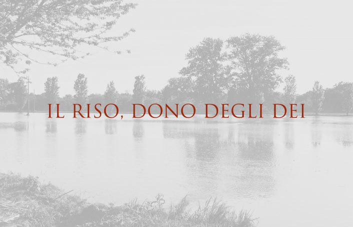 RISO_COVER